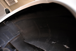 131214 IN R DSC_8495.jpg